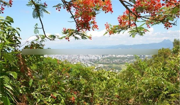 在东山岭上俯瞰万宁市区